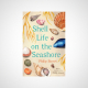 Shell Life on the Seashore