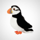Puffin Soft Toy