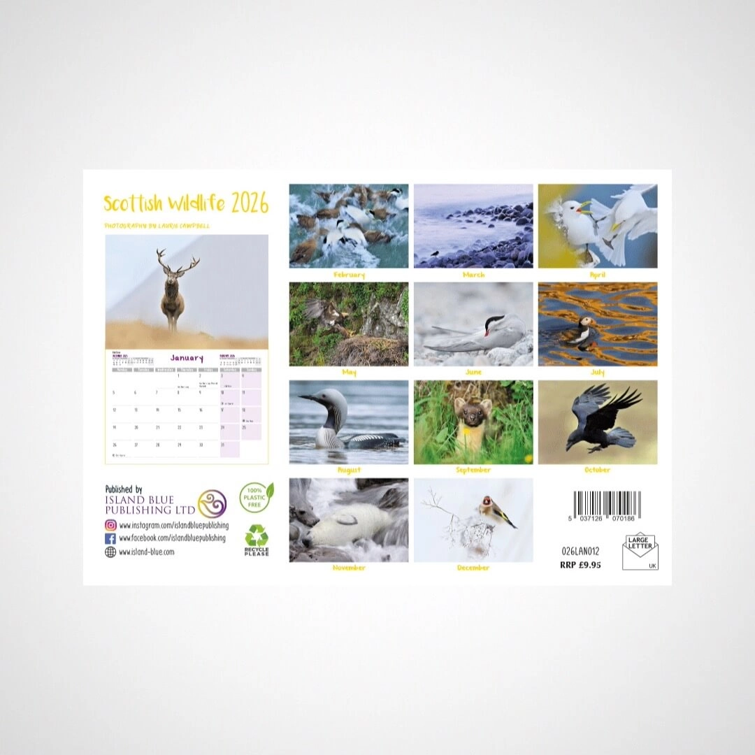 Scottish Wildlife Calendar 2026 back