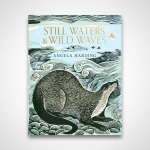 Still Waters & Wild Waves