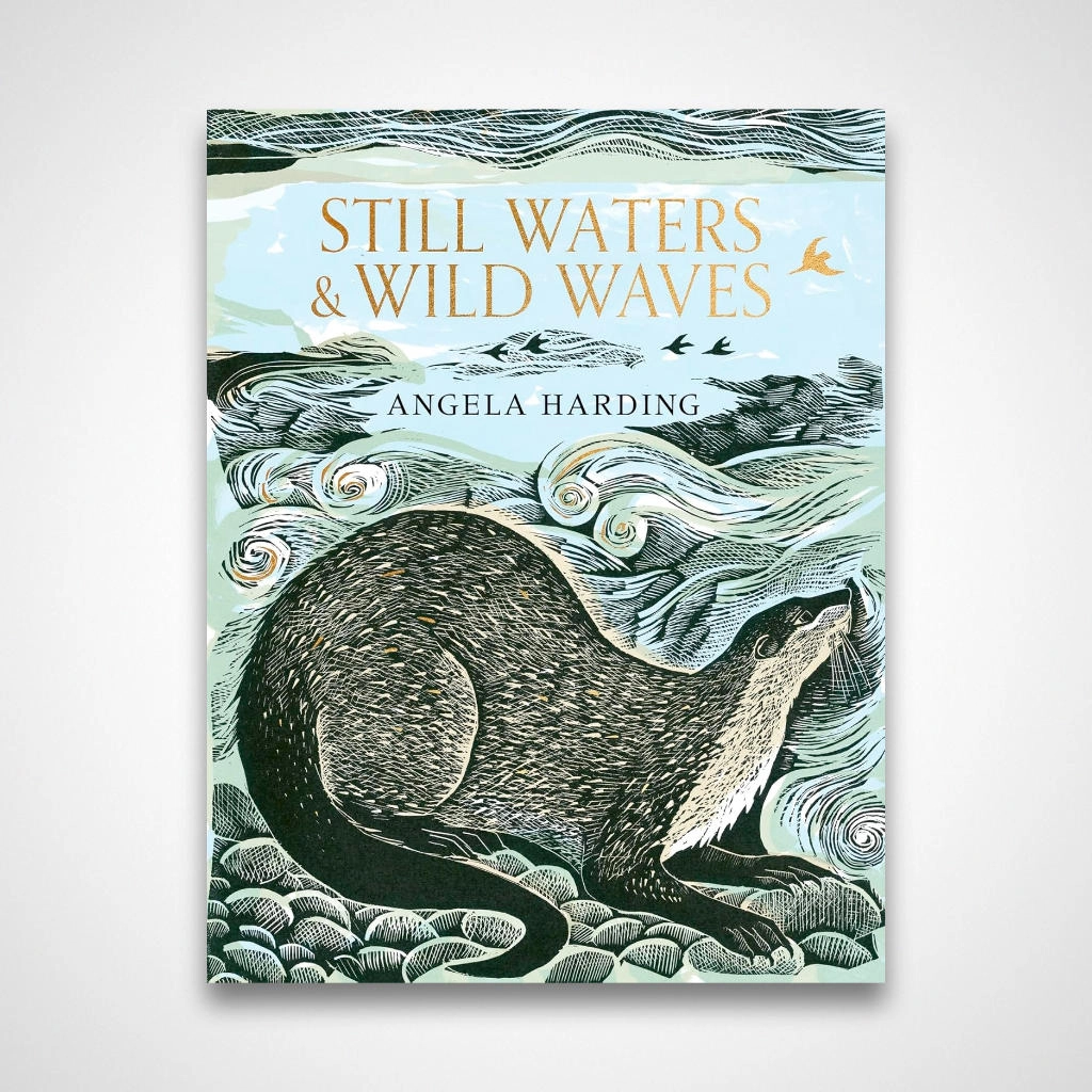 Still Waters & Wild Waves