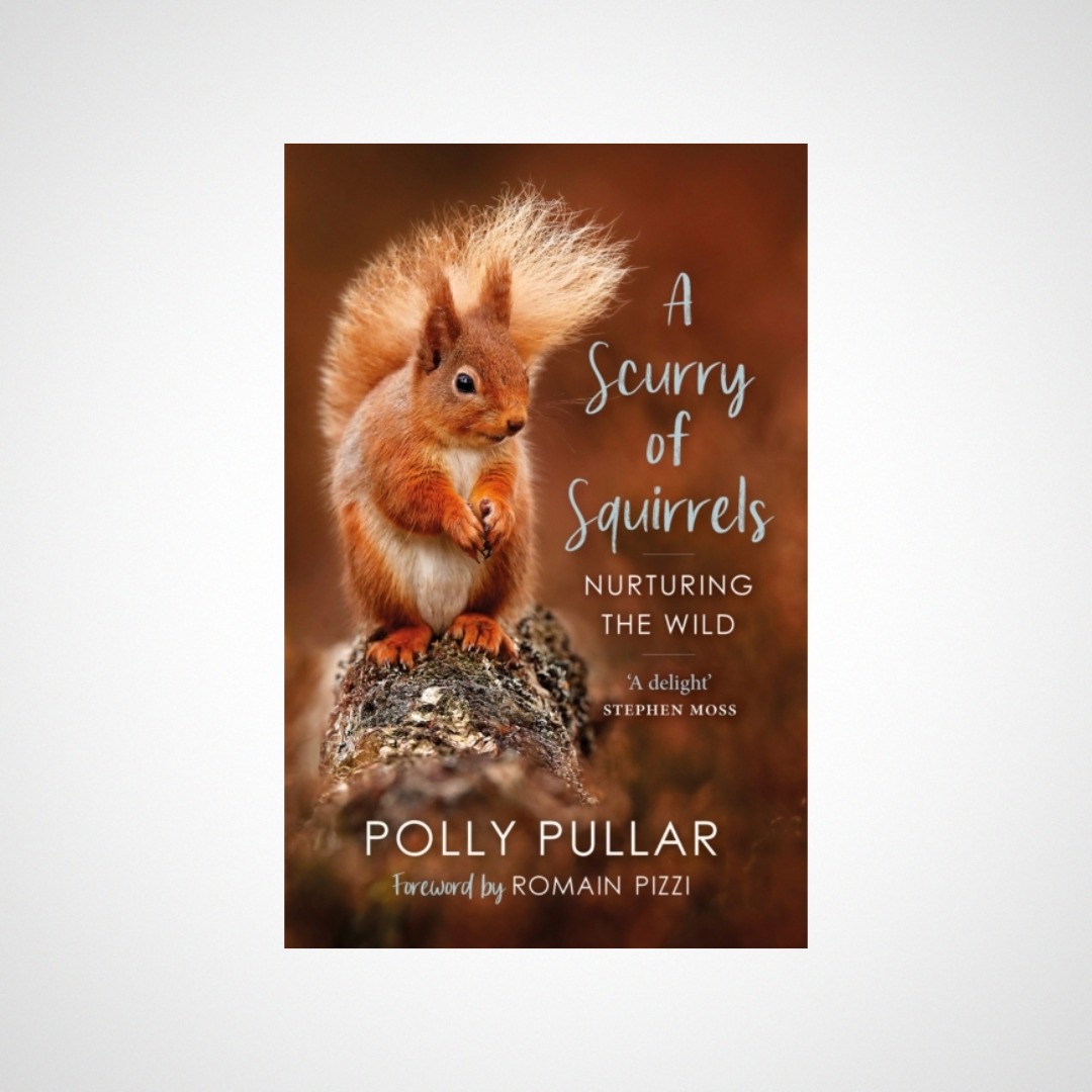 A Scurry of Squirrels : Nurturing The Wild