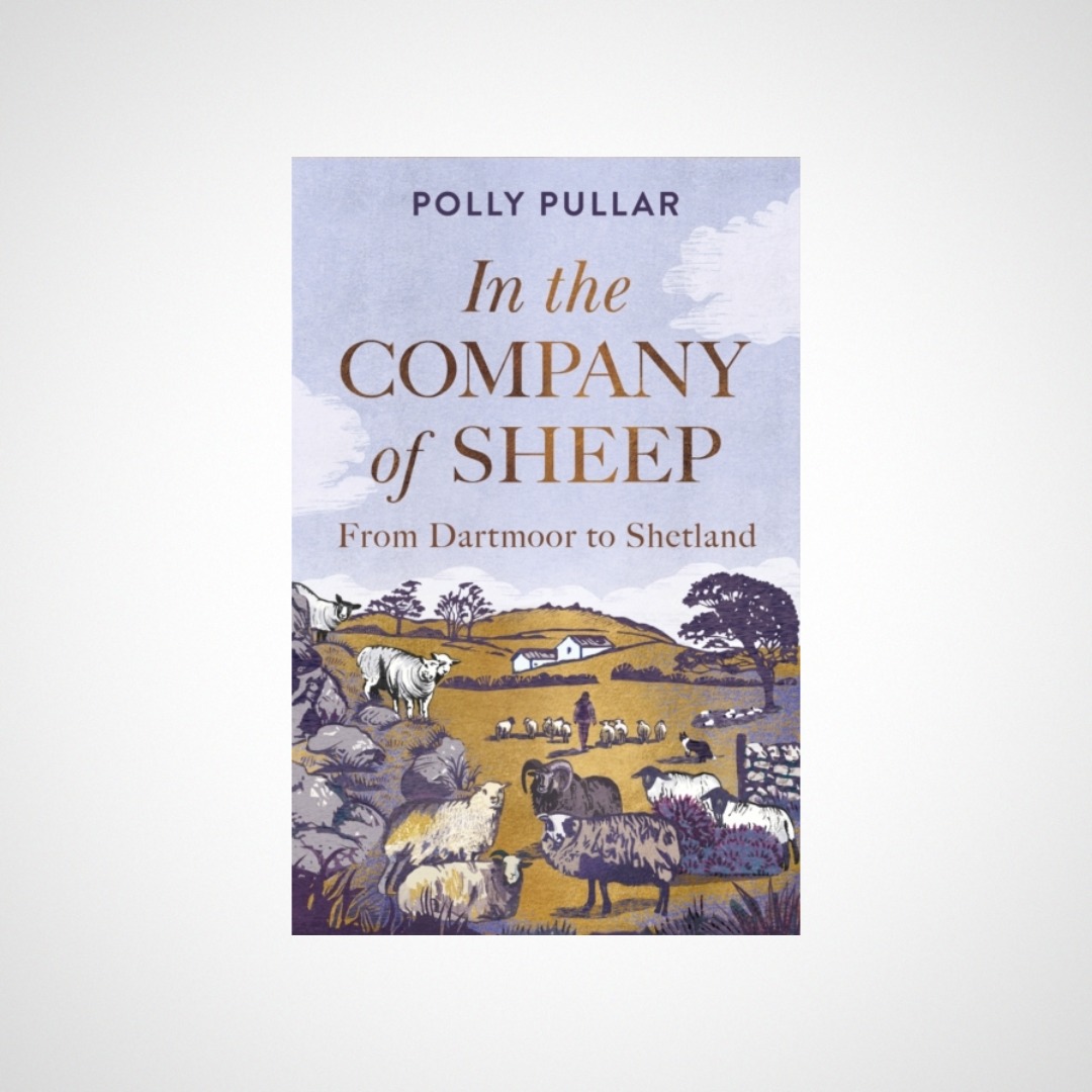 In the Company of Sheep : From Dartmoor to Shetland